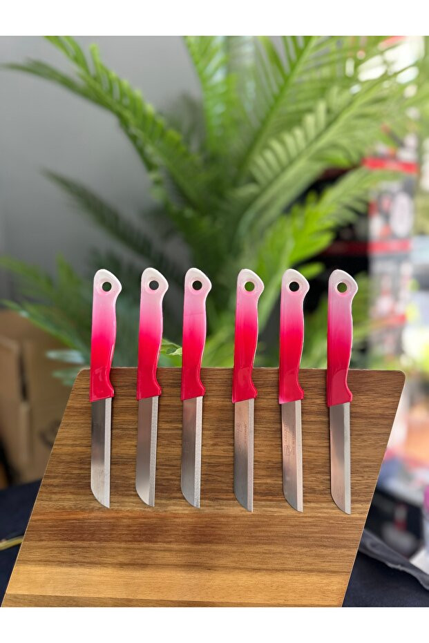 EBRULİ MEYVE BIÇAKLARI